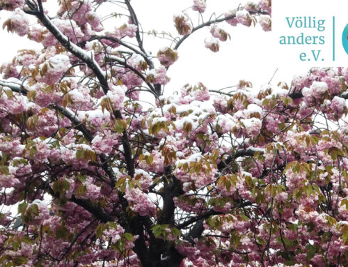 Selbsthilfegruppe DEMENZ – FTD Partnerinnen und Partner (online)