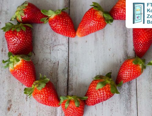 FTD VERSTEHEN. Basis-Kurs