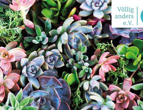 Informationsveranstaltung am 27. Oktober 2026